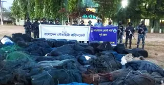 চট্টগ্রামে যৌথবাহিনীর অভিযানে ৩১২ কোটি টাকা মূল্যের অবৈধ জাল জব্দ